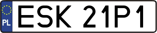 ESK21P1