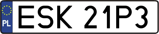 ESK21P3