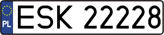 ESK22228