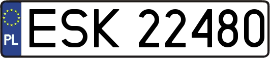 ESK22480