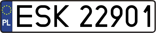 ESK22901