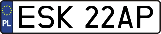 ESK22AP