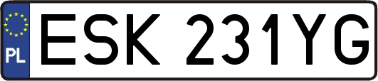 ESK231YG