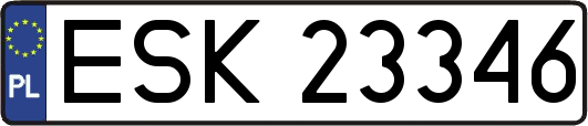 ESK23346