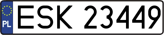 ESK23449