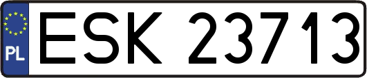 ESK23713
