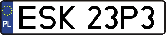 ESK23P3