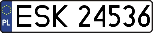 ESK24536