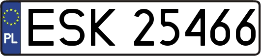 ESK25466