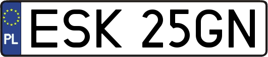ESK25GN