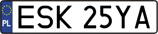 ESK25YA