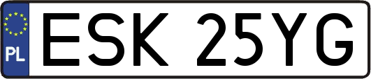 ESK25YG
