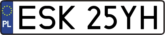 ESK25YH