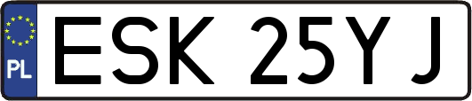ESK25YJ