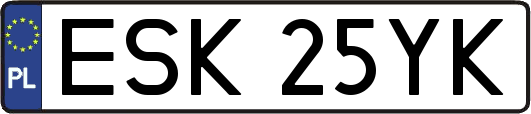 ESK25YK