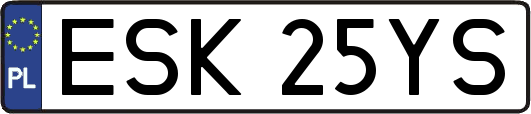 ESK25YS