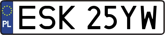 ESK25YW