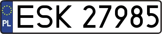 ESK27985