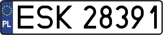 ESK28391