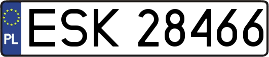 ESK28466