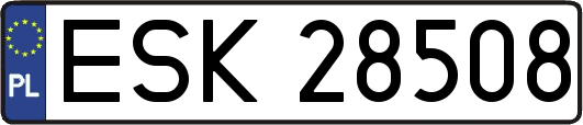 ESK28508
