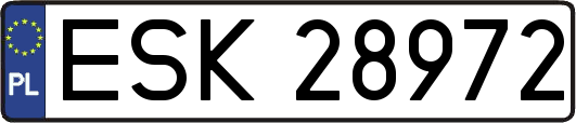 ESK28972