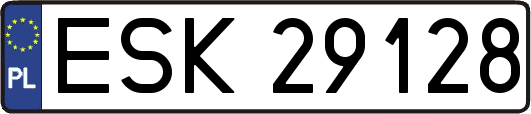 ESK29128