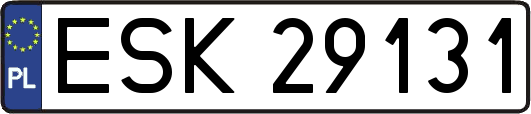 ESK29131