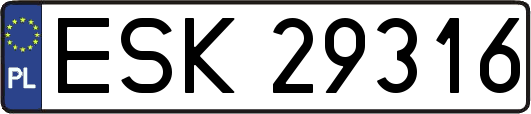 ESK29316