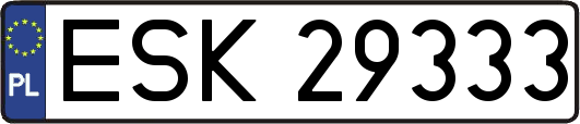 ESK29333