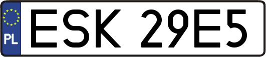 ESK29E5