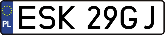 ESK29GJ