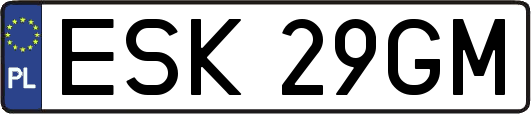ESK29GM