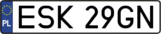 ESK29GN