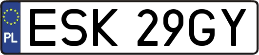 ESK29GY