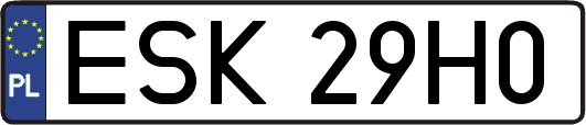 ESK29H0