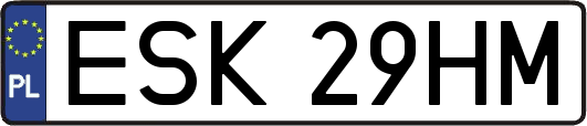 ESK29HM