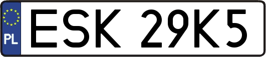 ESK29K5