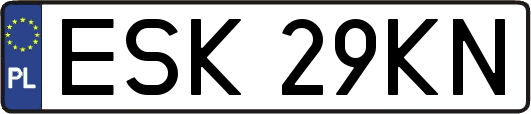 ESK29KN