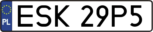ESK29P5