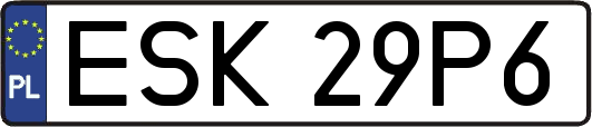 ESK29P6