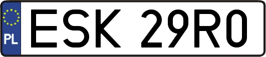 ESK29R0
