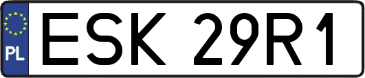 ESK29R1