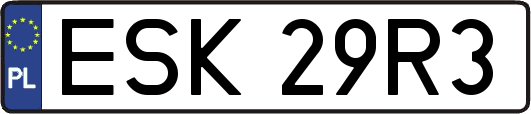 ESK29R3