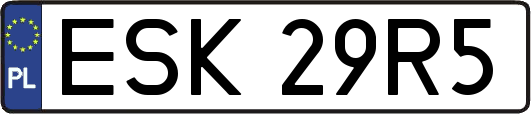 ESK29R5