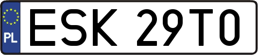 ESK29T0