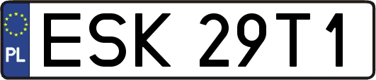 ESK29T1