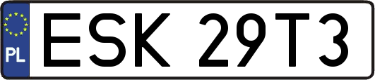 ESK29T3