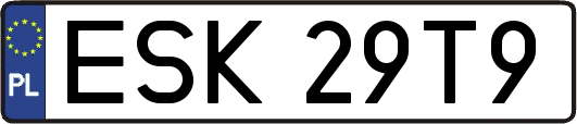 ESK29T9