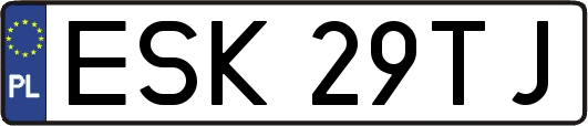ESK29TJ